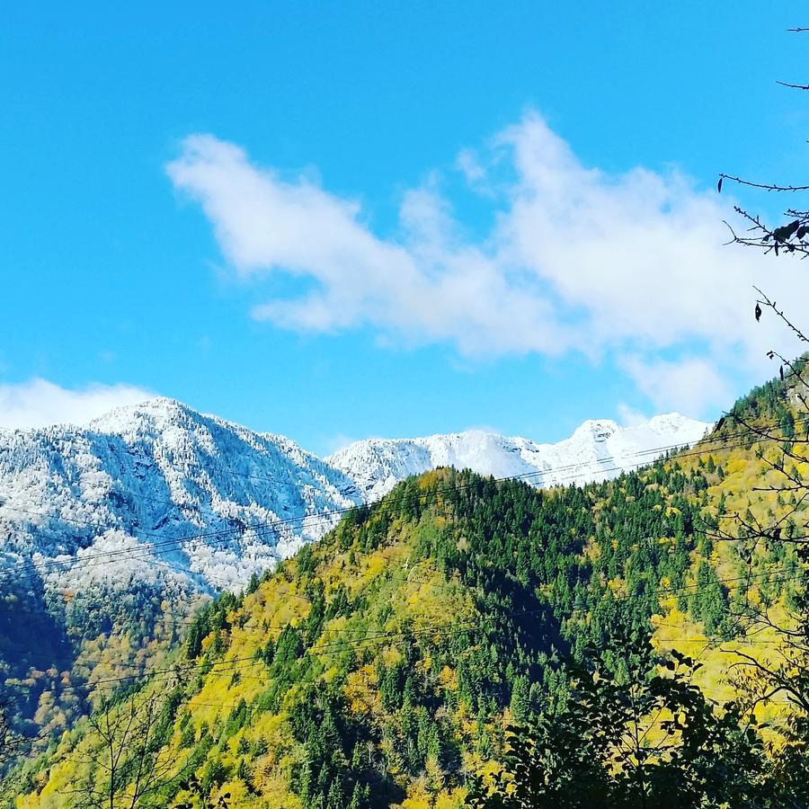Lagami House Otel Mestia Dış mekan fotoğraf